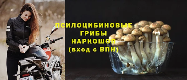 бошки Нефтекумск