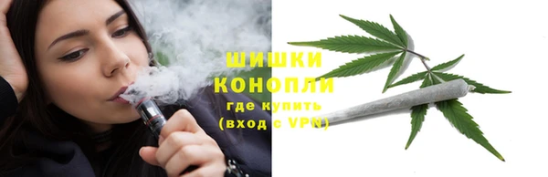 ПСИЛОЦИБИНОВЫЕ ГРИБЫ Бородино
