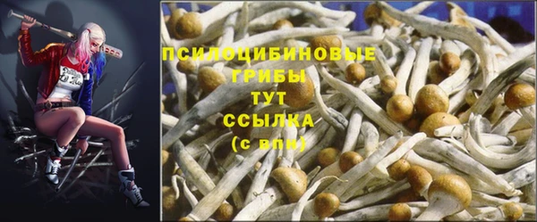 ПСИЛОЦИБИНОВЫЕ ГРИБЫ Бородино