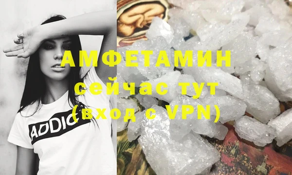 ПСИЛОЦИБИНОВЫЕ ГРИБЫ Бородино