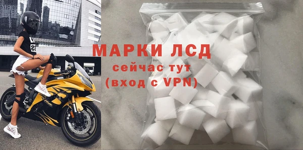 ПСИЛОЦИБИНОВЫЕ ГРИБЫ Бородино