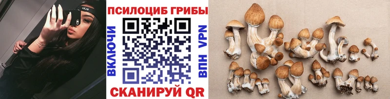 Купить закладки  Котлас  Галлюциногенные грибы прущие грибы 